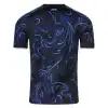 Argentina Away Jersey World Cup 2026