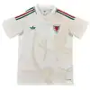 Wales Away Match Jersey Player Version World Cup 2026