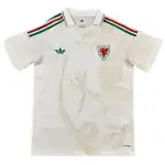 Wales Away Match Jersey Player Version World Cup 2026