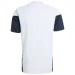 Argentina Pre-Match Training Jersey World Cup 2026