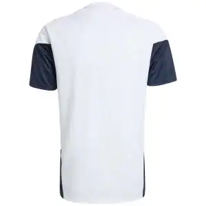 Argentina Pre-Match Training Jersey World Cup 2026
