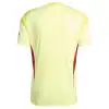 Arsenal Goalkeeper Jersey 2025/26