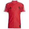 Manchester United US Baseball Jersey 2025/26