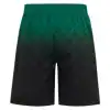 AC Milan Fourth Shorts 2024/25