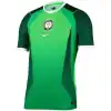 Nigeria Home Match Jersey Player Version World Cup 2026
